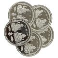 Ganesh Lakshmi/Laxmi Pure Silver(999) 20 Gram Coin (Pack Of 5 Coins)